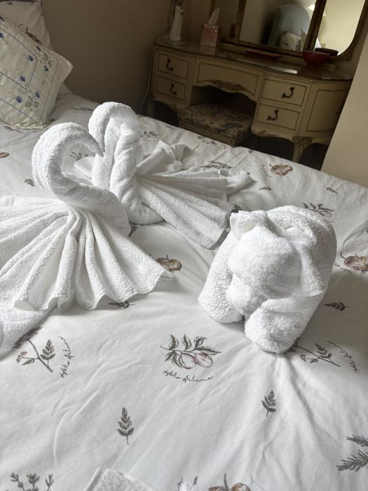 Towel origami swans on the bed