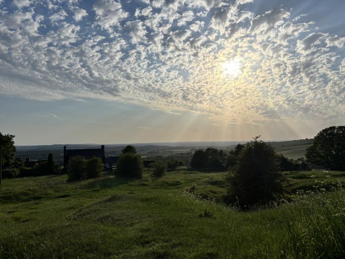 Field views at sunset near the cottage